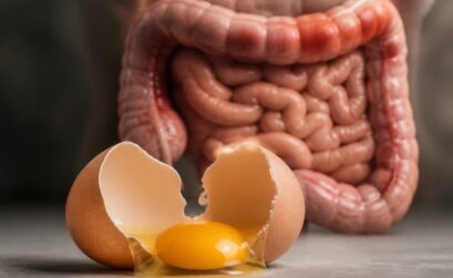 découvrez les vérités essentielles sur la consommation d'œufs pour les personnes souffrant du syndrome de l'intestin irritable et comment mieux gérer votre alimentation.