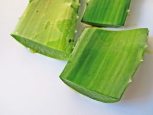 Bienfaits de l'aloe vera bio