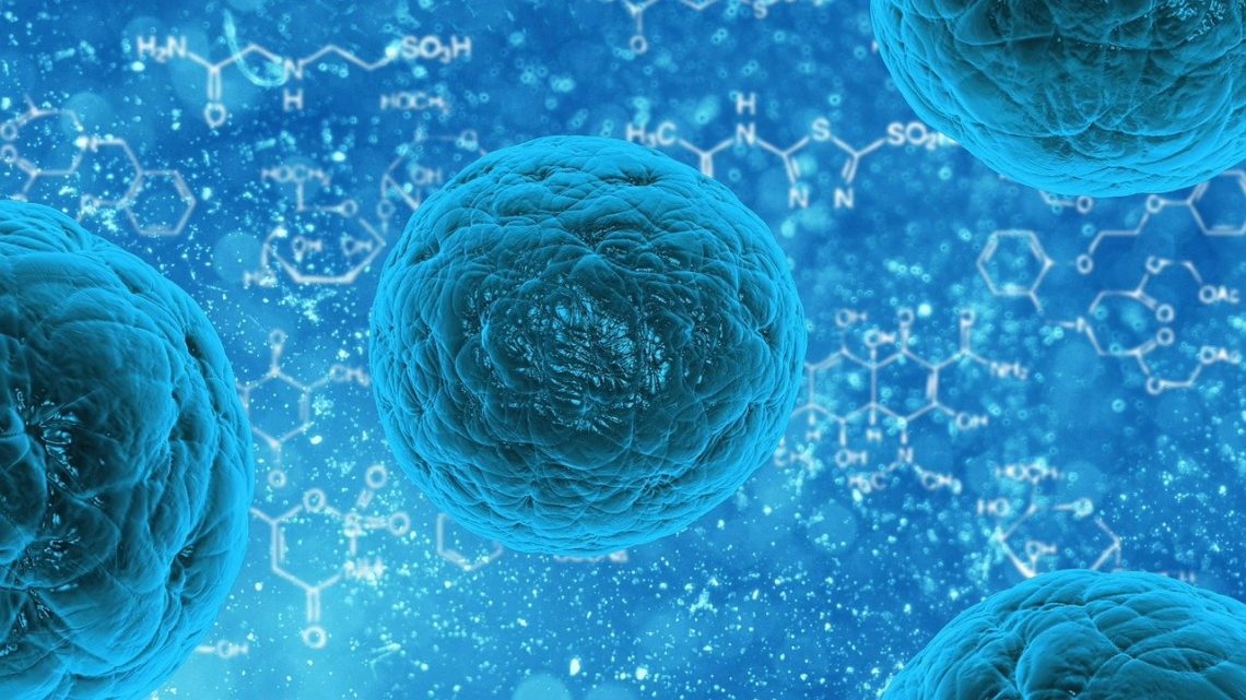 analyse du microbiote