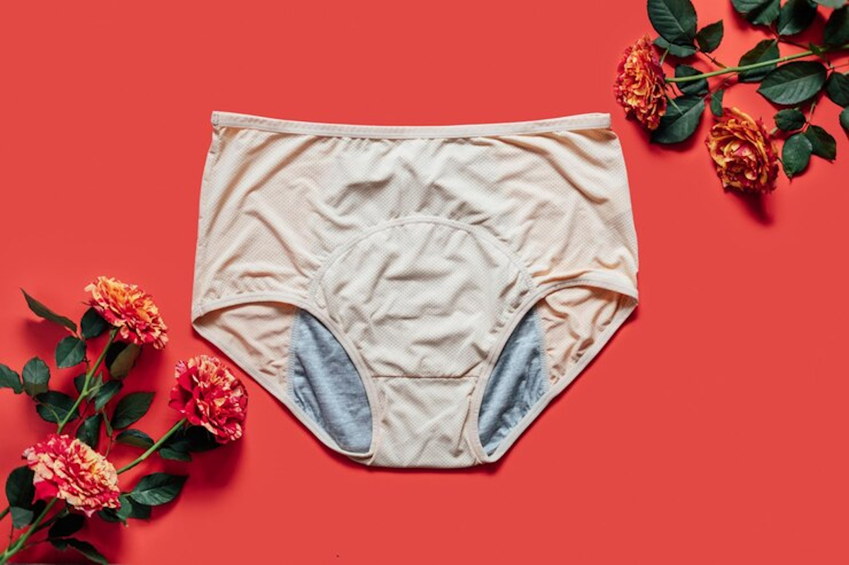 culottes menstruelles