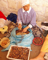 Fabrication de l'huile d'argan bio