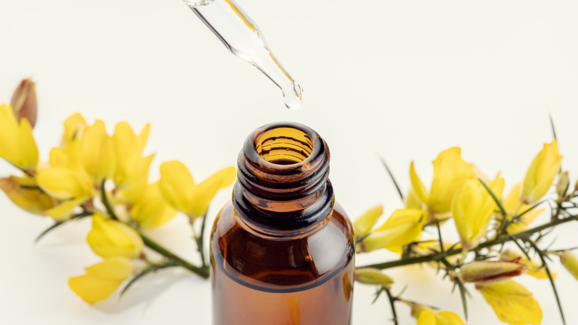 Fleurs de bach : une méthode douce pour gérer le stress et les émotions
