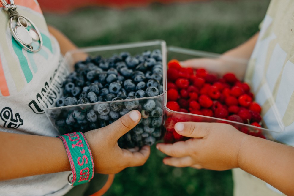 fruit bio