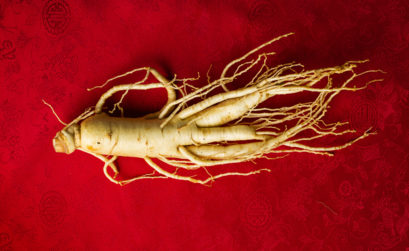 ginseng koréen