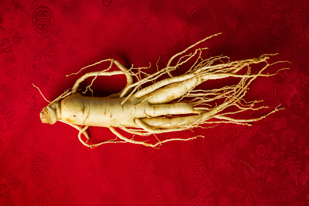 ginseng koréen