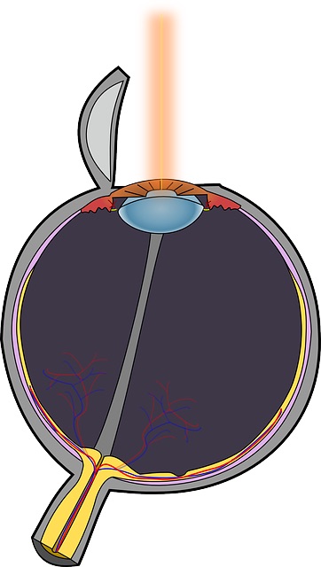 procédé chirurgie Lasik pour les yeux