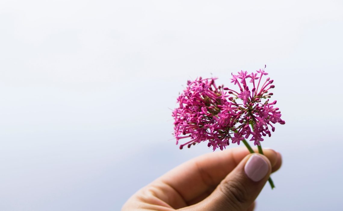 soigner avec les plantes médicinales