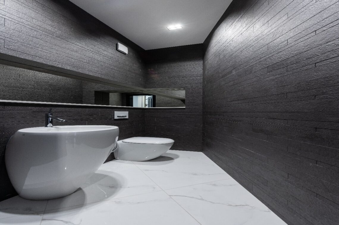 toilettes japonaise