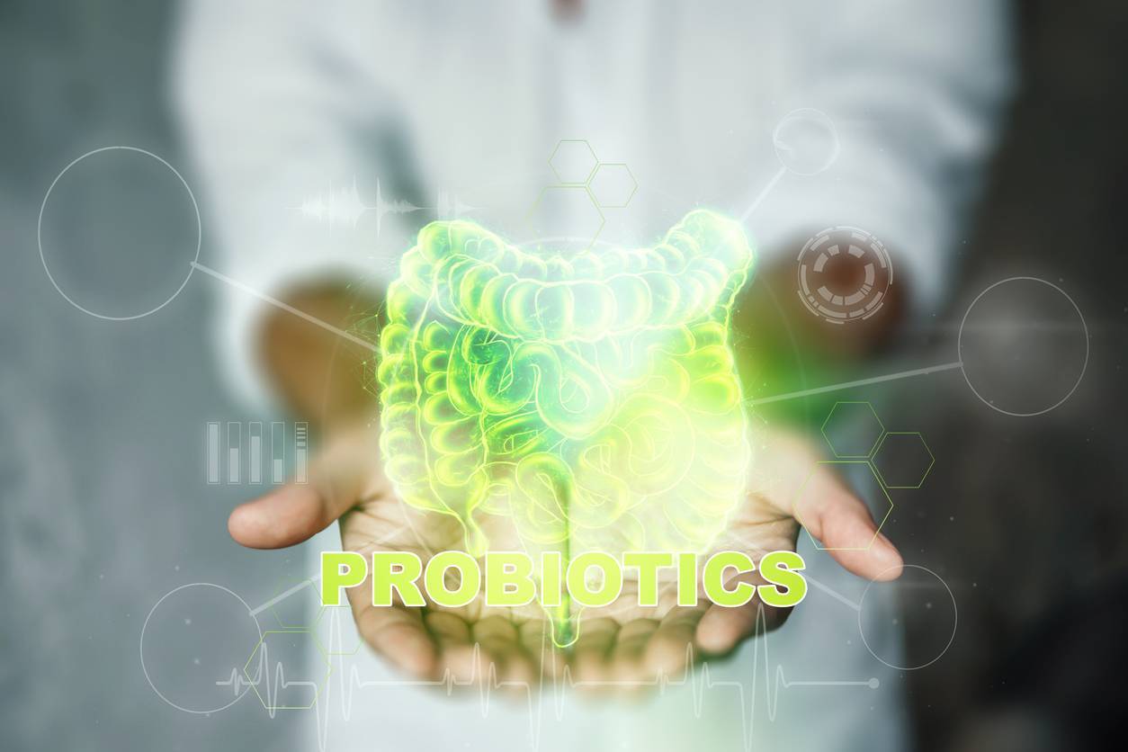 compléments alimentaires flore intestinale